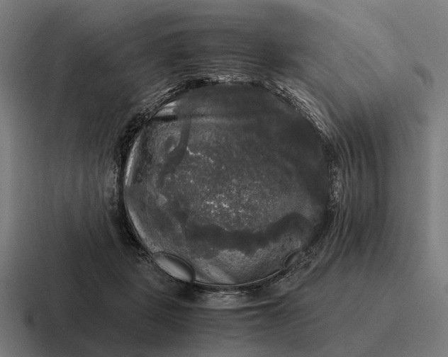 X0000116800461200912311939