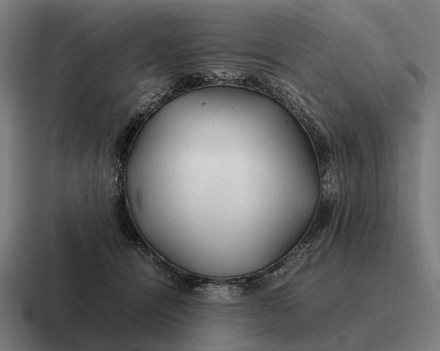 X0000116800464200912311939