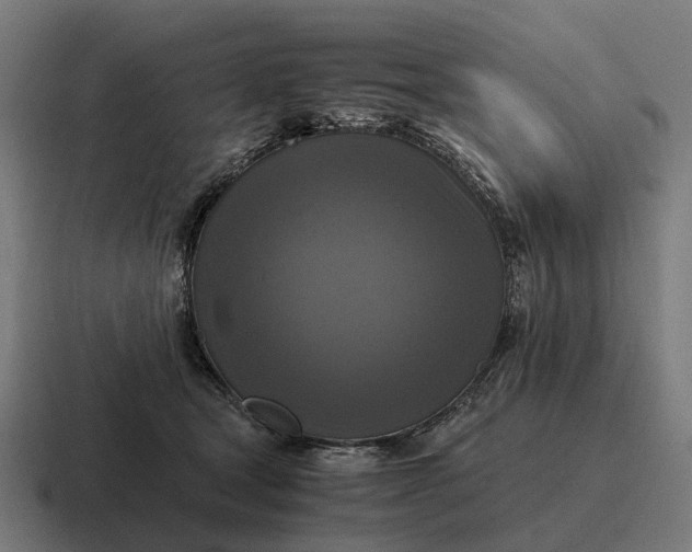 X0000116800465200912311939