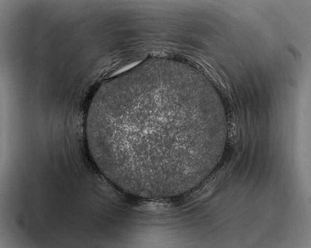 X0000116800466200912311939