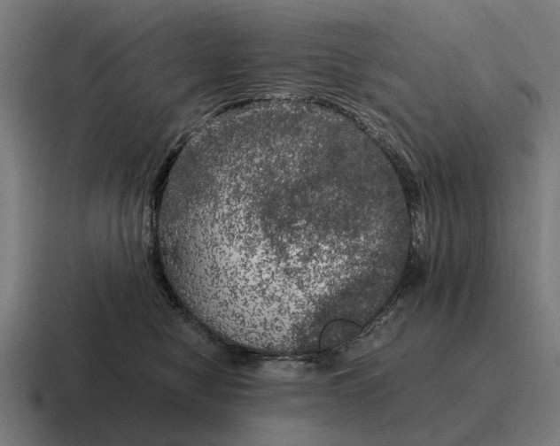 X0000116800470200912311939