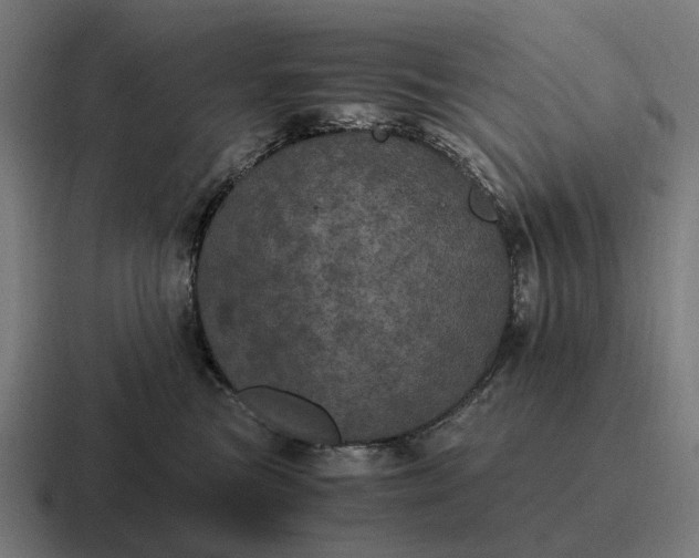 X0000116800473200912311940