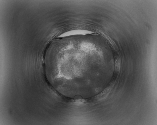 X0000116800474200912311940