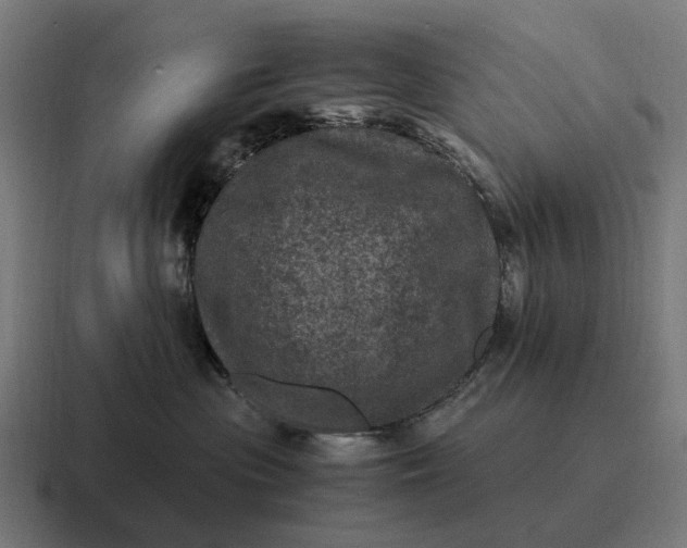 X0000116800477200912311940