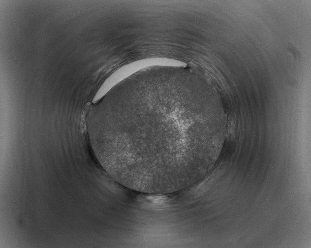 X0000116800478200912311940