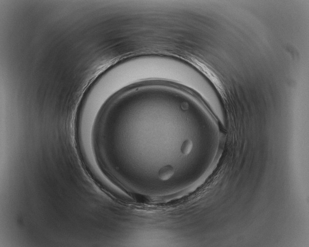 X0000116800485200912311939