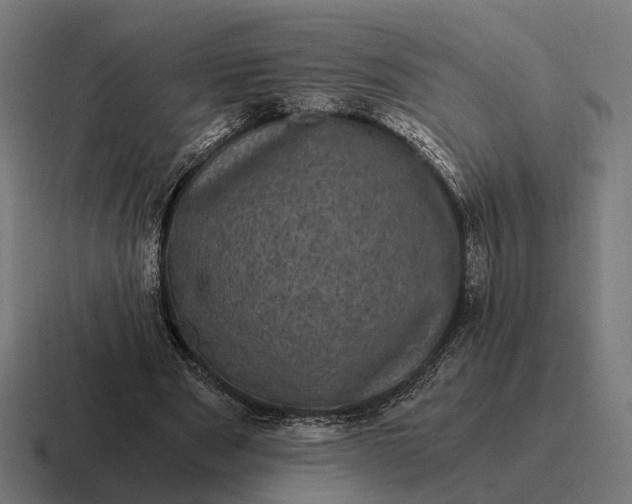 X0000116800489200912311939