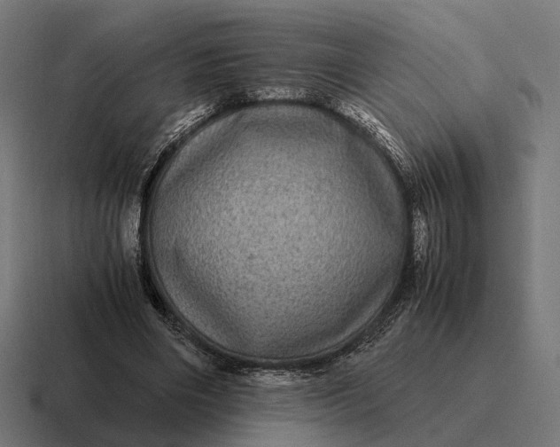 X0000116800490200912311939