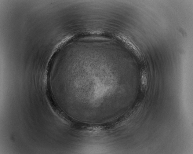 X0000116800492200912311939