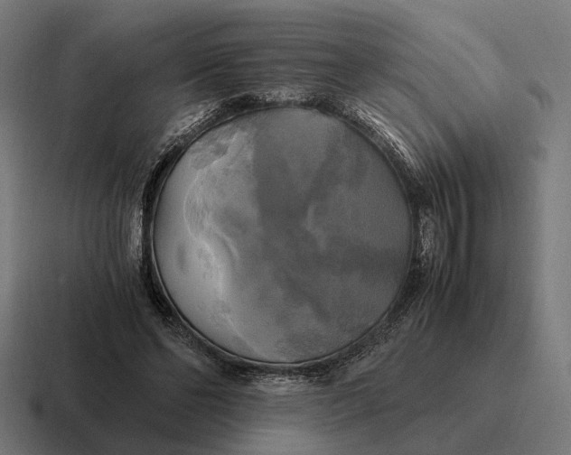 X0000116800494200912311939