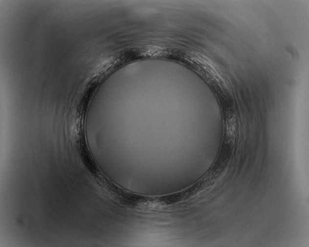 X0000116800503200912311939