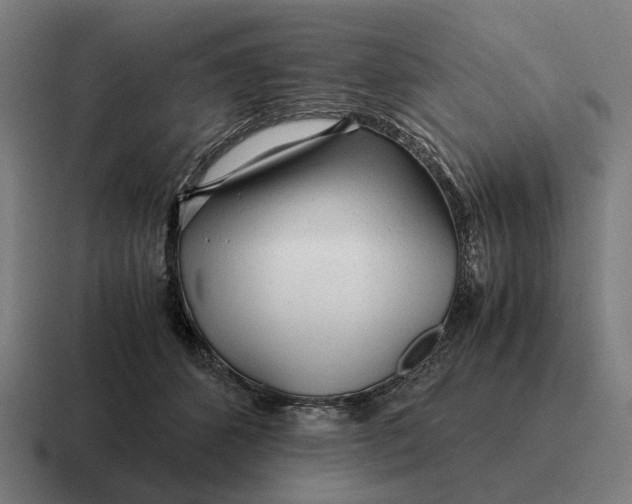 X0000116800512200912311939