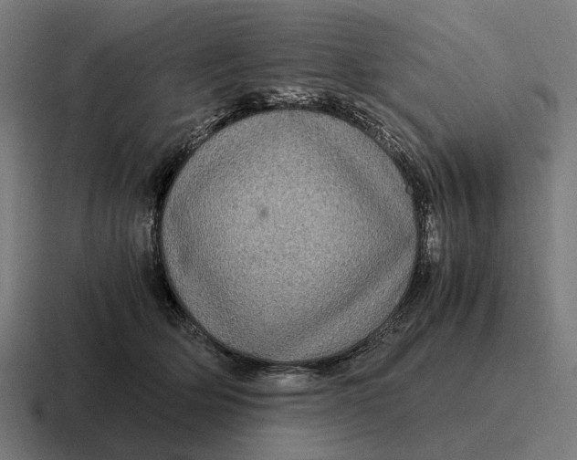 X0000116800514200912311939