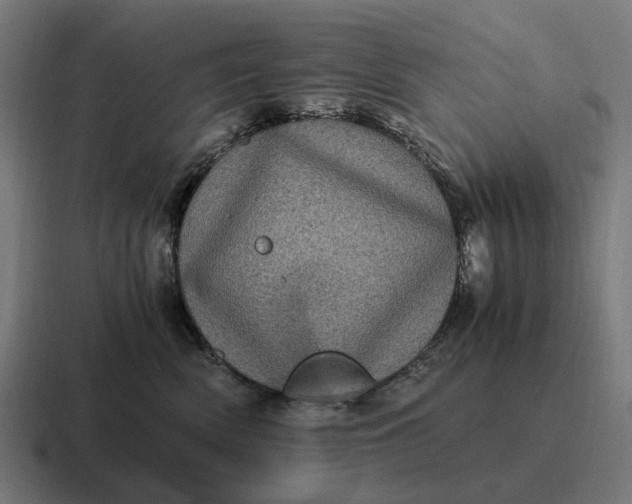 X0000116800522200912311938