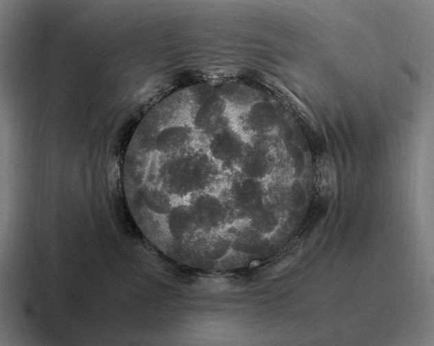 X0000116800523200912311938