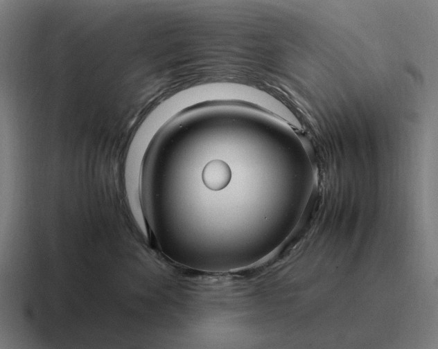 X0000116800524200912311938