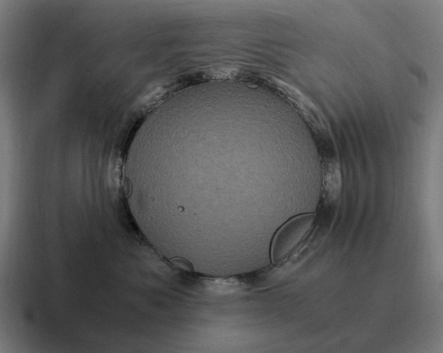 X0000116800525200912311938