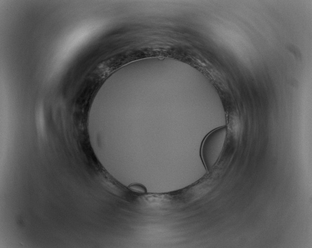 X0000116800526200912311938