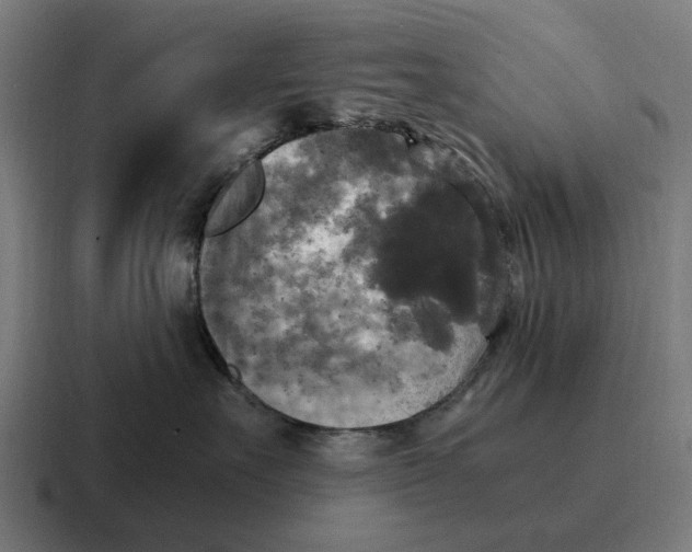 X0000116800527200912311938