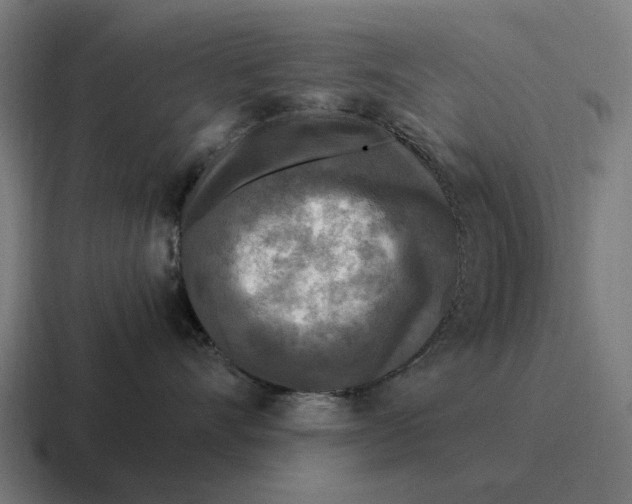 X0000116800528200912311938