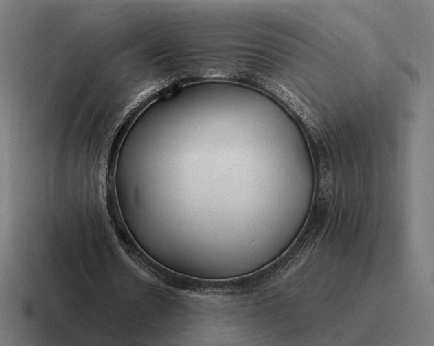 X0000116800530200912311938