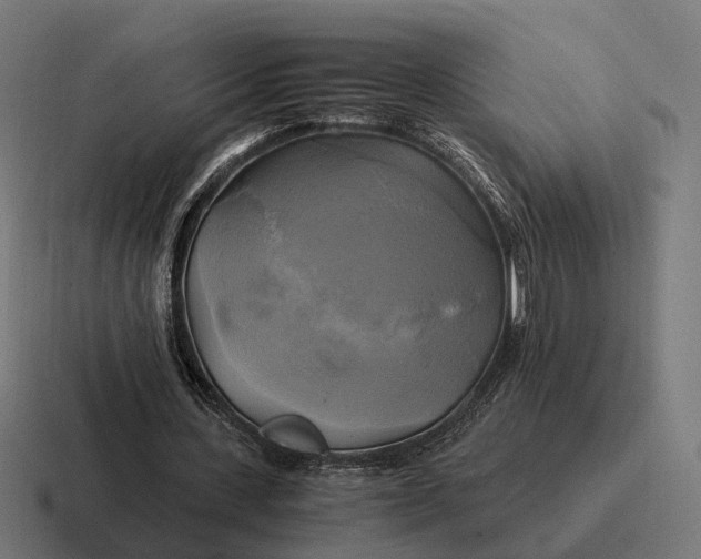 X0000116800531200912311938