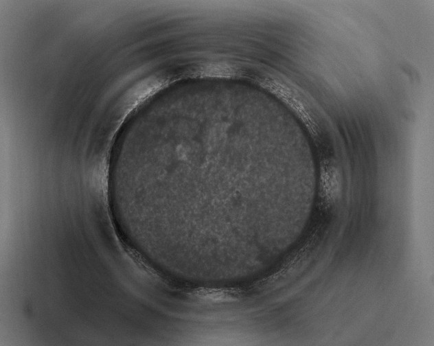 X0000116800534200912311938