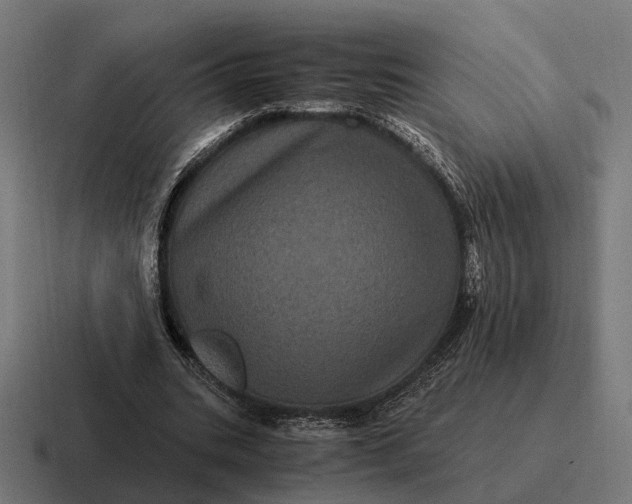 X0000116800535200912311938