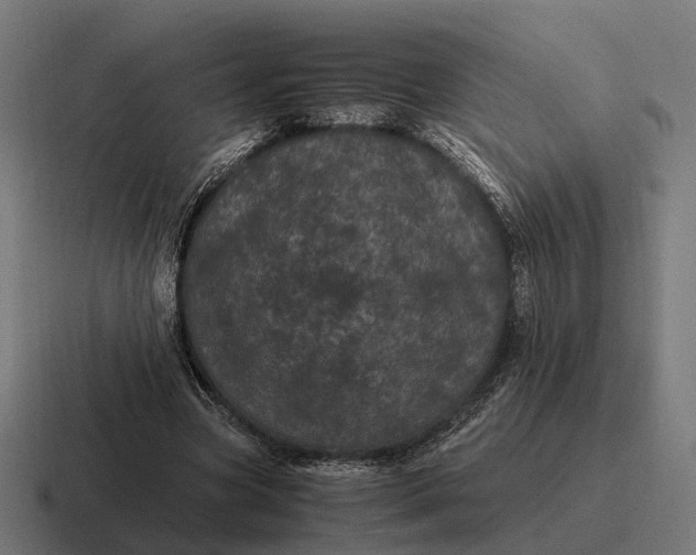 X0000116800537200912311938