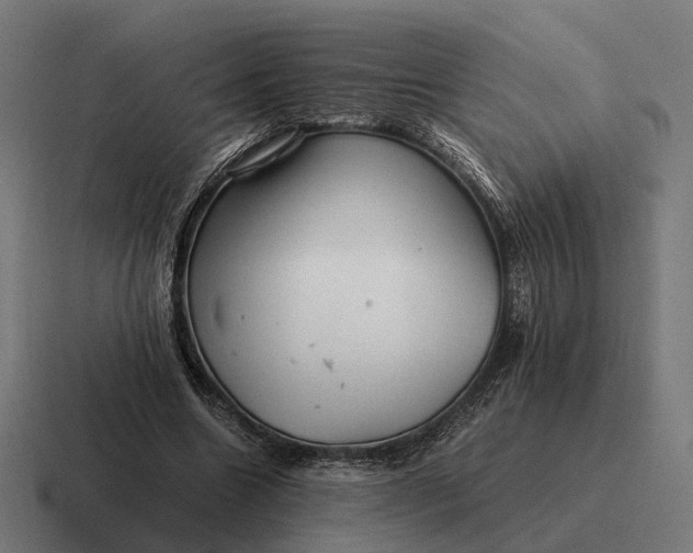 X0000116800538200912311938