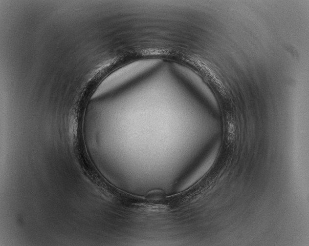 X0000116800539200912311938