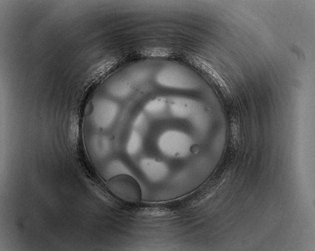 X0000116800541200912311938