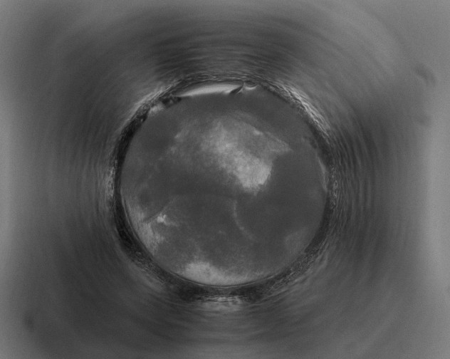 X0000116800543200912311938