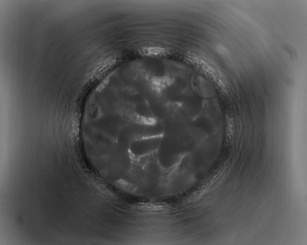 X0000116800545200912311938