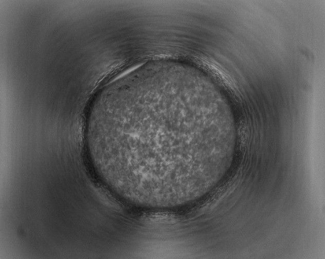 X0000116800546200912311938