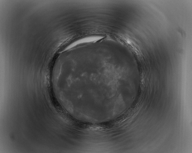 X0000116800547200912311938