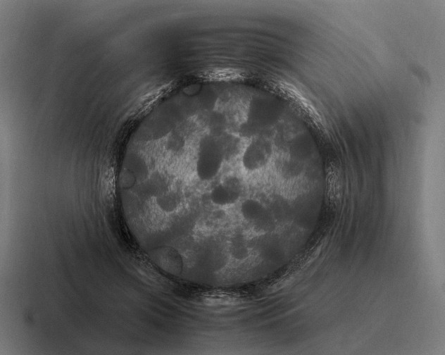 X0000116800549200912311938