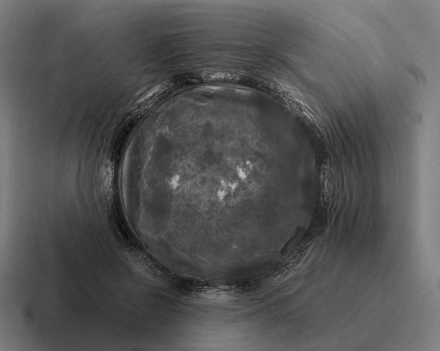 X0000116800550200912311938