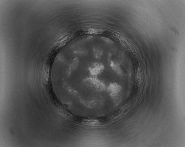 X0000116800554200912311938