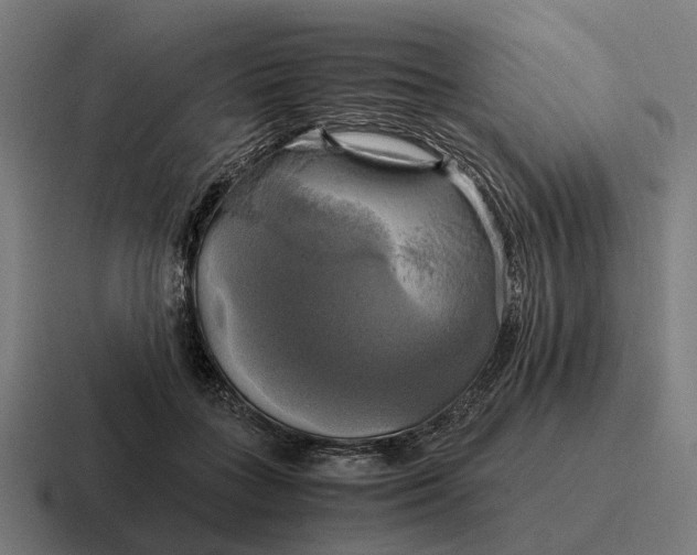 X0000116800555200912311938