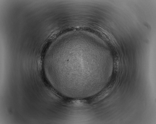 X0000116800558200912311938