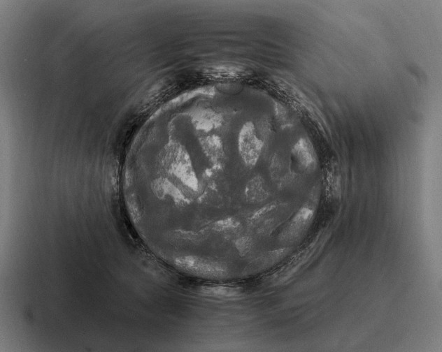 X0000116800561200912311938