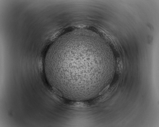 X0000116800562200912311938