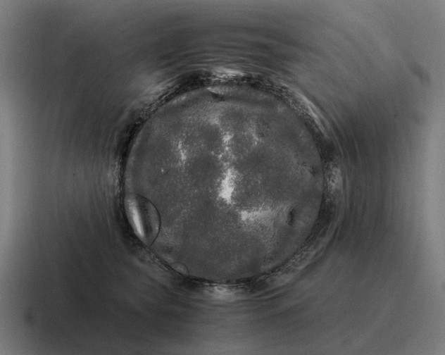 X0000116800565200912311938