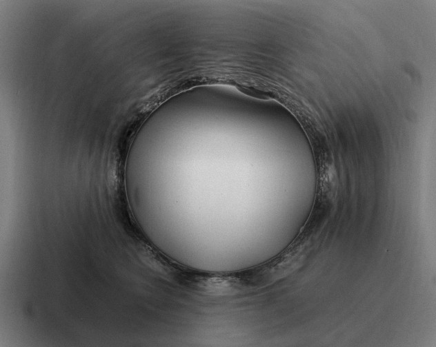 X0000116800566200912311938