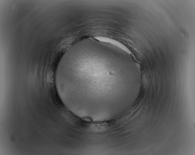 X0000116800571200912311938