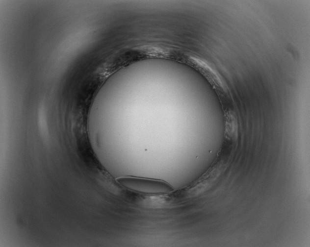 X0000116800573200912311938