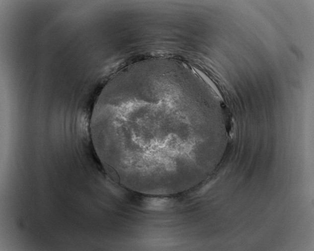 X0000116800575200912311938