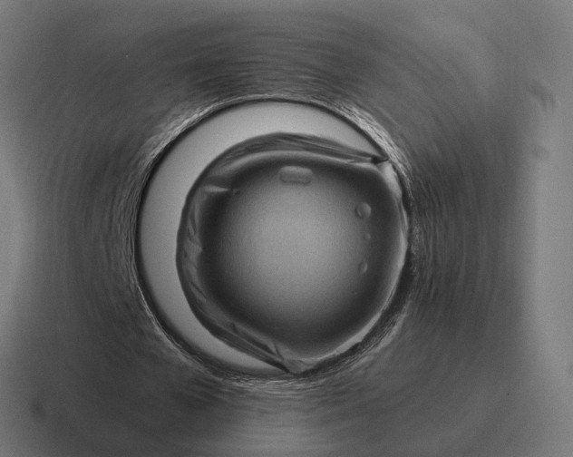 X0000116800577200912311938