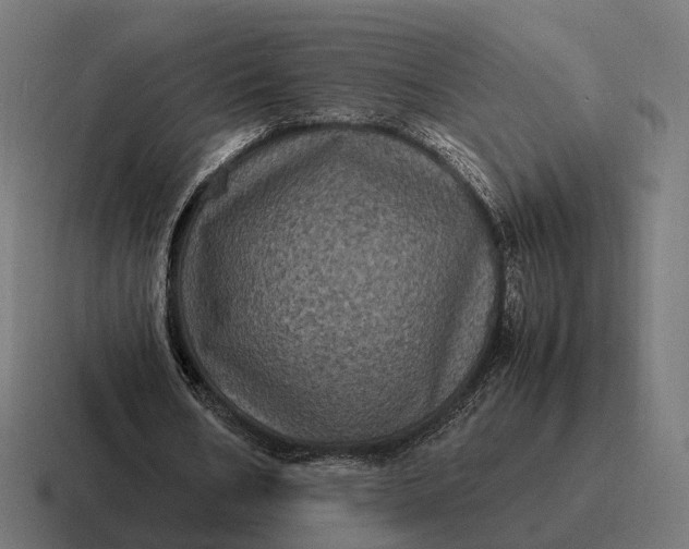 X0000116800578200912311938